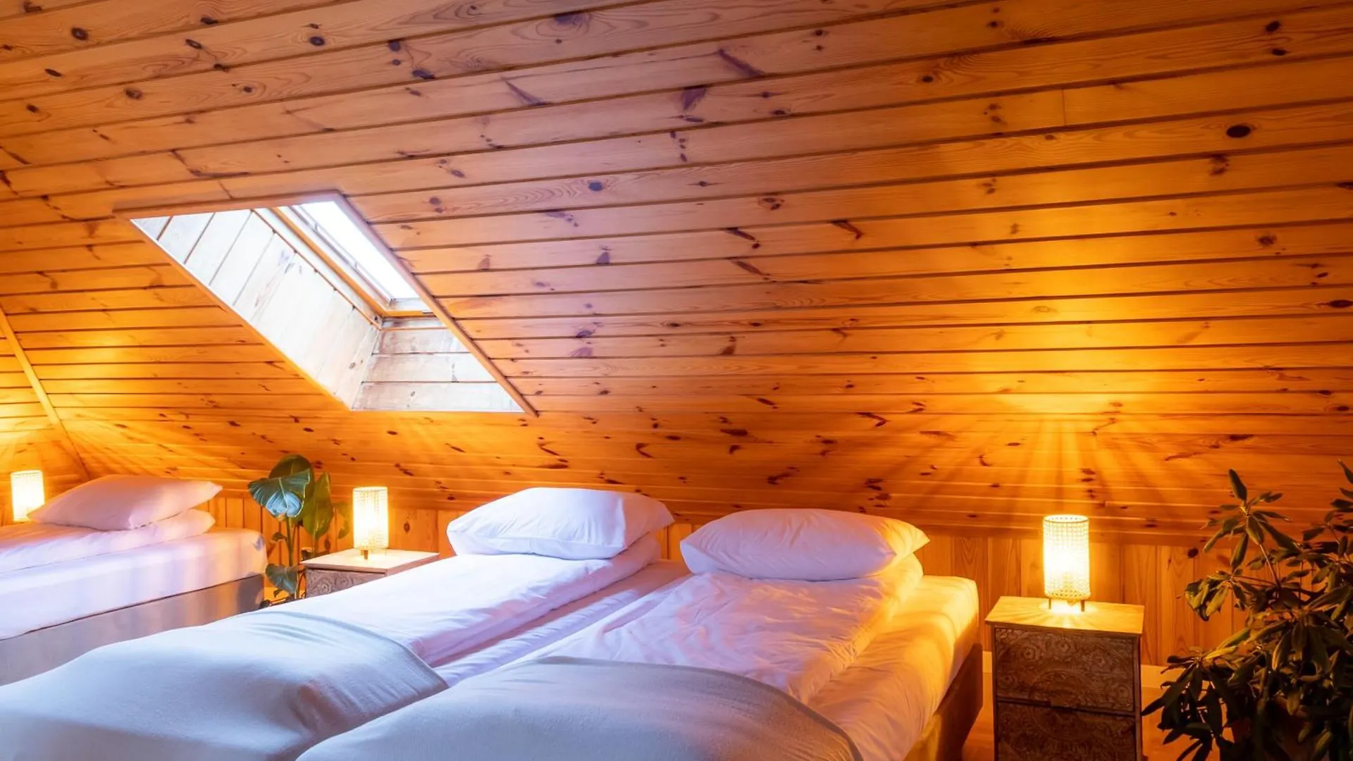 בית הארחה קרקוב Blisshouse Luxurious Guesthouse Calm And Energetic Spot Near By City Surrounded By The Forest Where You Will Find Your Peace And Your People