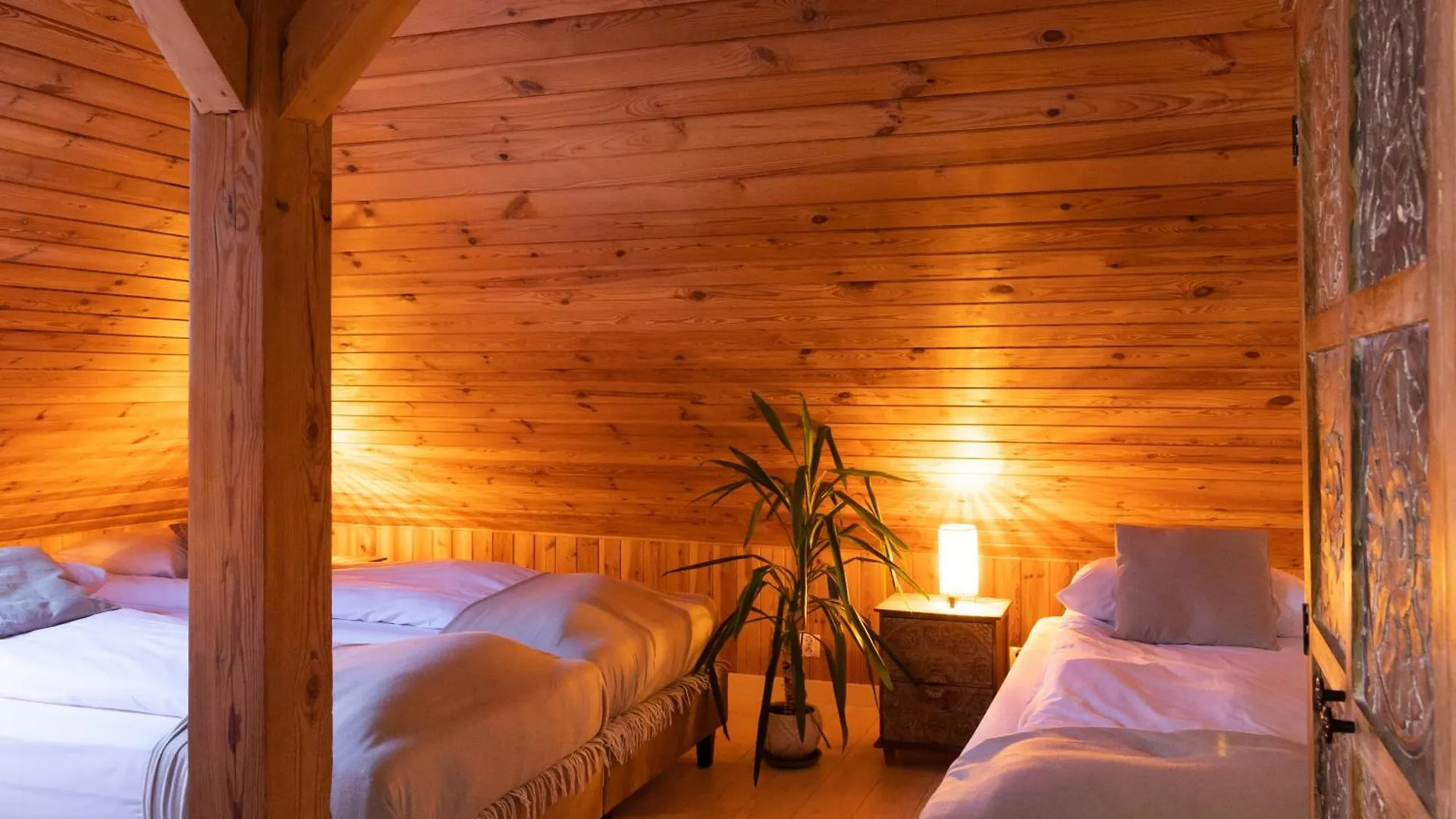 קרקוב Blisshouse Luxurious Guesthouse Calm And Energetic Spot Near By City Surrounded By The Forest Where You Will Find Your Peace And Your People בית הארחה