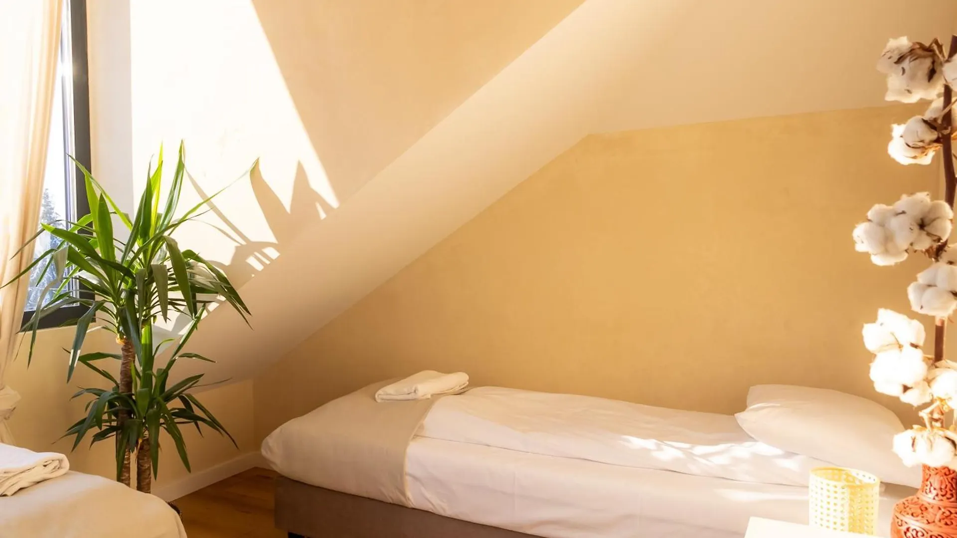 Blisshouse Luxurious Guesthouse Calm And Energetic Spot Near By City Surrounded By The Forest Where You Will Find Your Peace And Your People Kraków 0*,  Polska