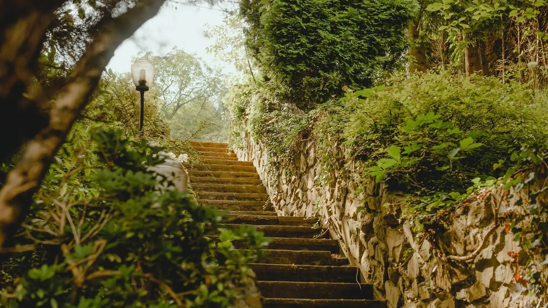 Blisshouse Luxurious Guesthouse Calm And Energetic Spot Near By City Surrounded By The Forest Where You Will Find Your Peace And Your People Kraków Pensjonat